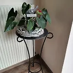 Ideal Lejlighedshotel Ladis