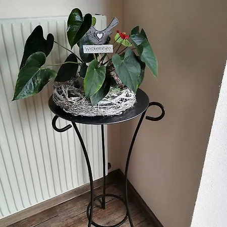 Ideal 아파트호텔 라디스